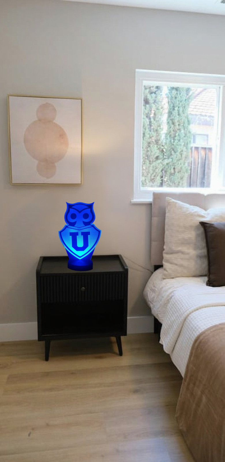 Lampara 3D Led U De Chile